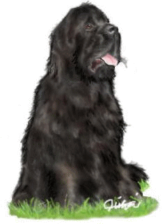 �q�g�~�����